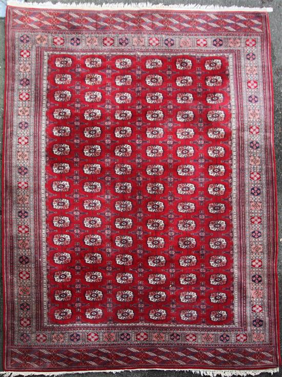 A Bokhara carpet, 11ft 7in by 9ft 8in.